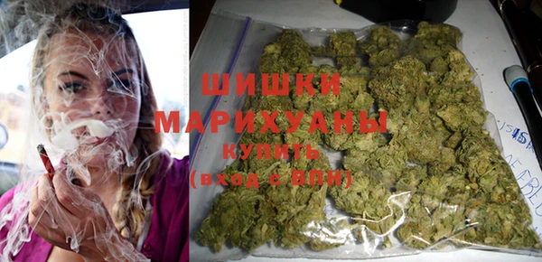 мдпв Надым