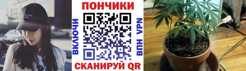 Каннабис SATIVA & INDICA  Звенигово 